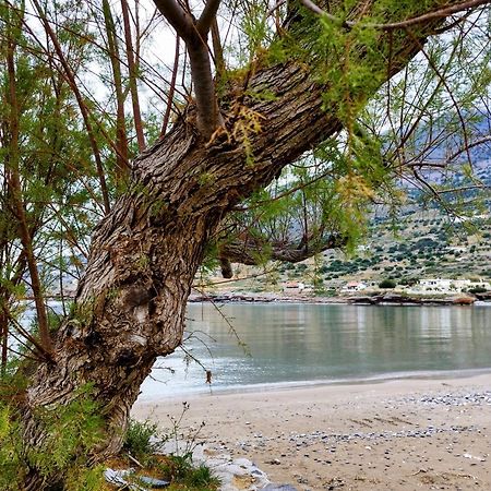Tholos Alexandra'S Beachfront House Kavousi  Bagian luar foto
